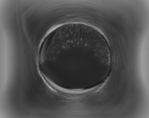 X0000085221525200703091149