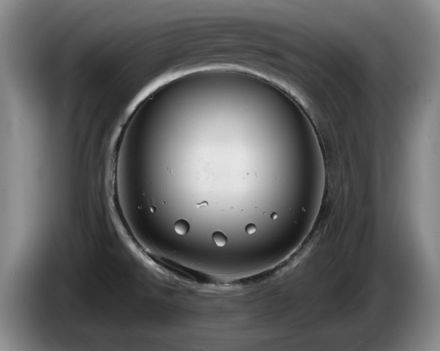 X0000085221526200703091149