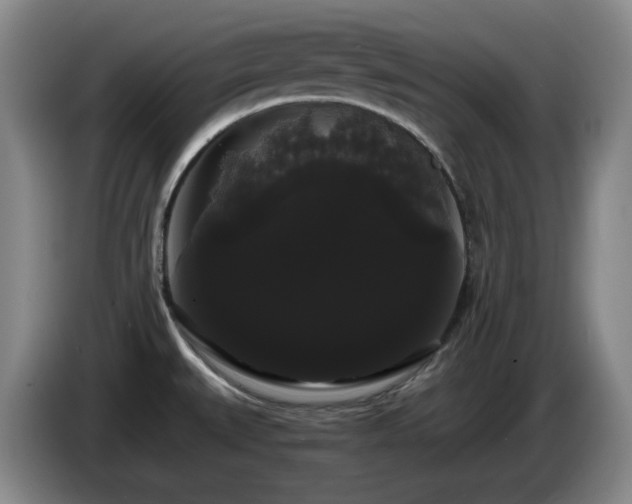 X0000085221527200703091149