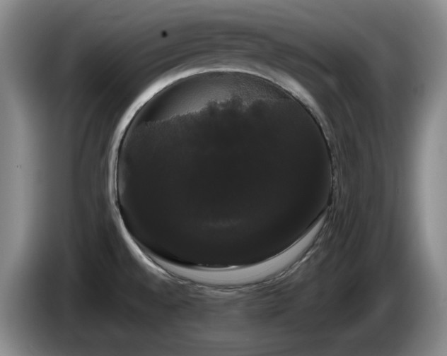 X0000085221528200703091149