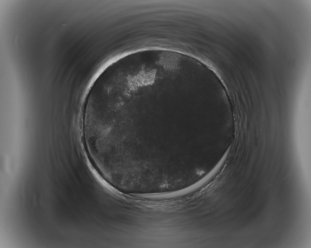 X0000085221531200703091149