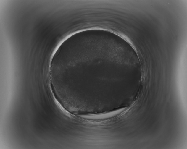 X0000085221532200703091149
