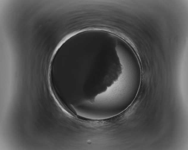 X0000085221533200703091149