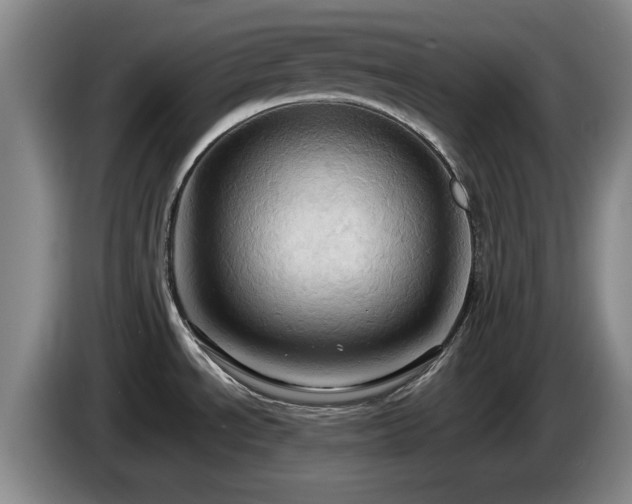 X0000085221534200703091149