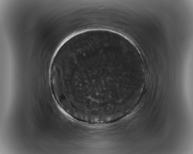 X0000085221535200703091149