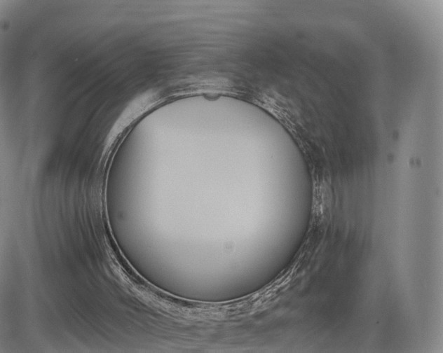 X0000085220004200703161257