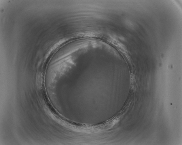 X0000085220012200703161256