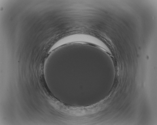 X0000085220029200703161256