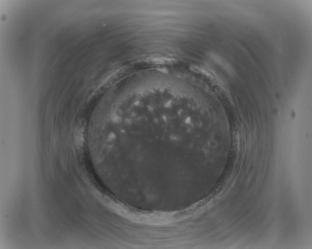 X0000085220032200703161256