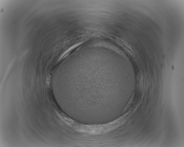 X0000085220033200703161256