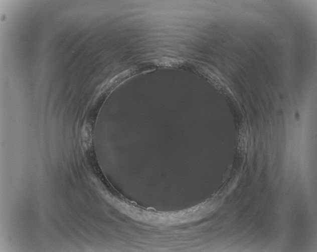 X0000085220043200703161256