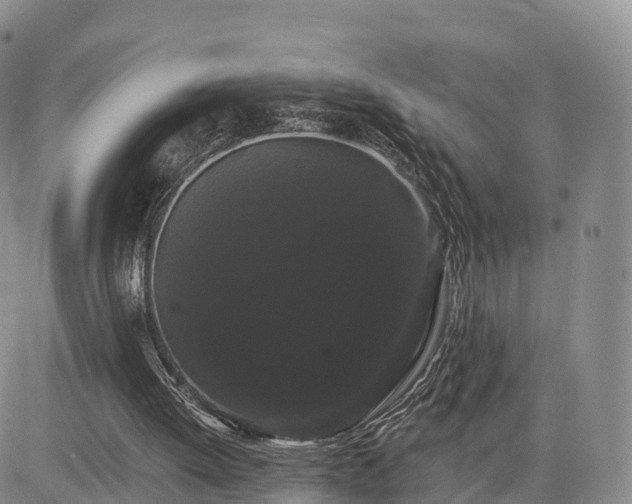X0000085220052200703161255