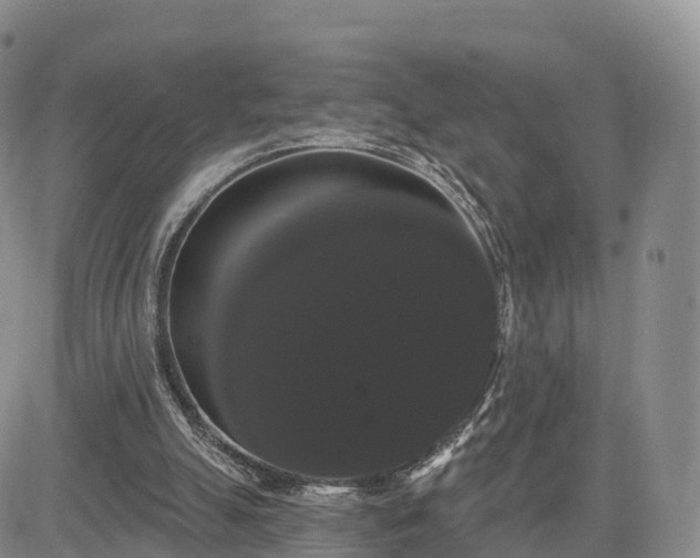 X0000085220055200703161255
