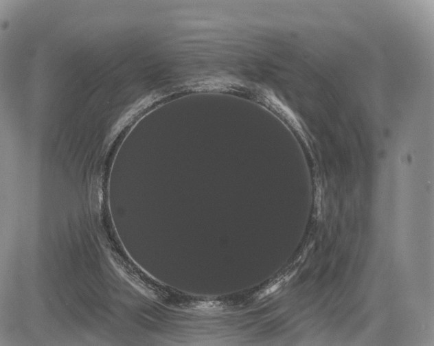 X0000085220059200703161255