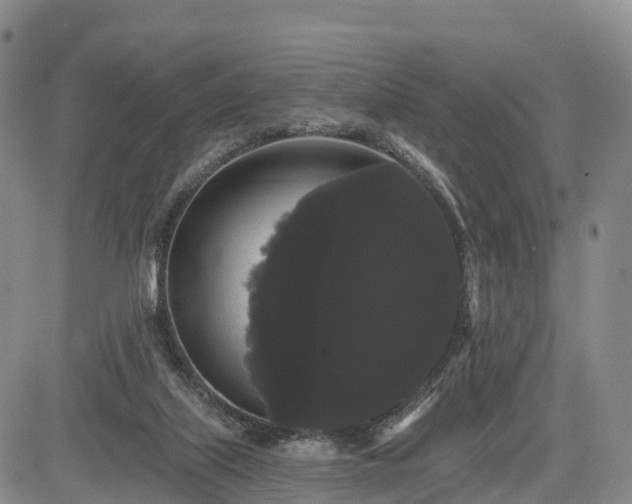X0000085220067200703161255