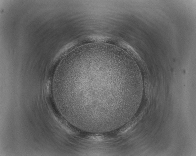 X0000085220071200703161255