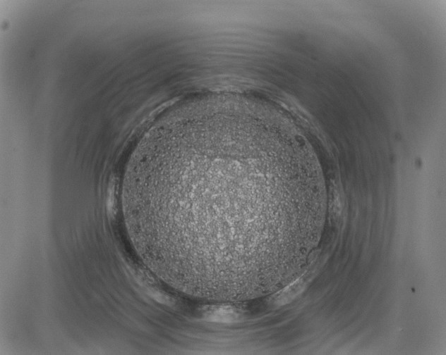 X0000085220074200703161255