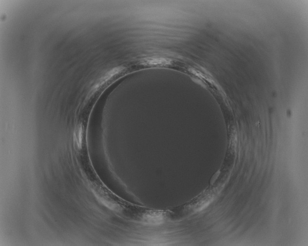 X0000085220076200703161255