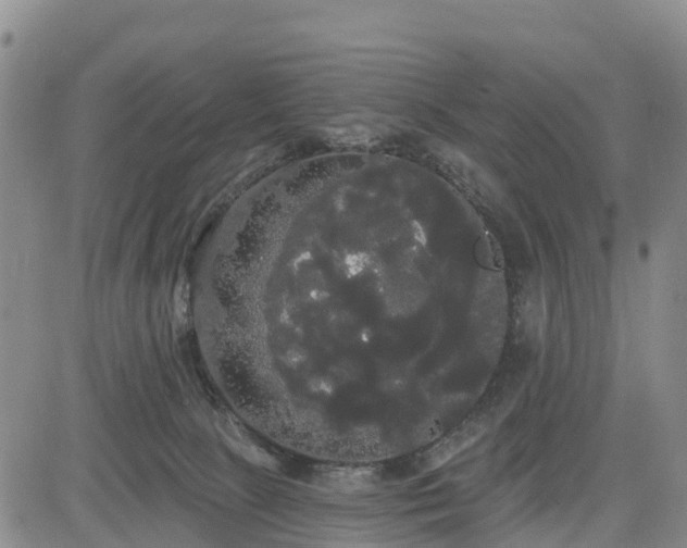 X0000085220081200703161256
