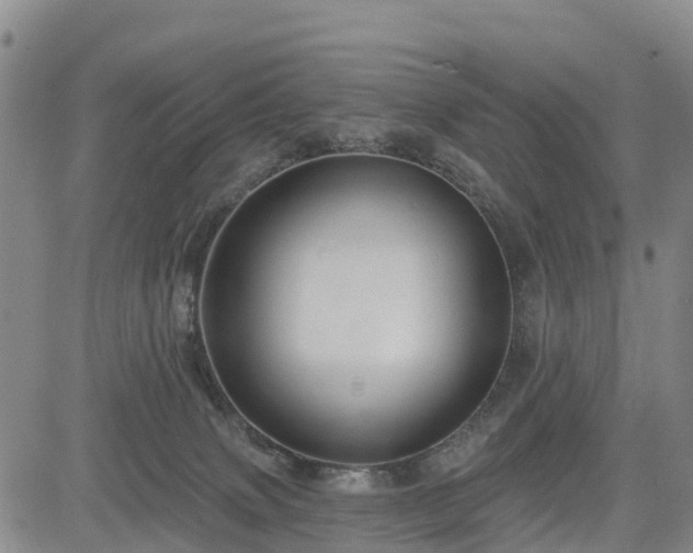 X0000085220083200703161256