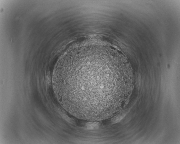 X0000085220085200703161256