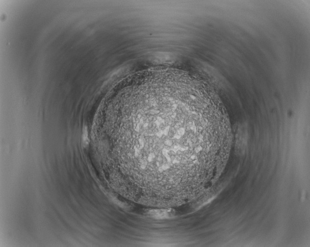 X0000085220089200703161256