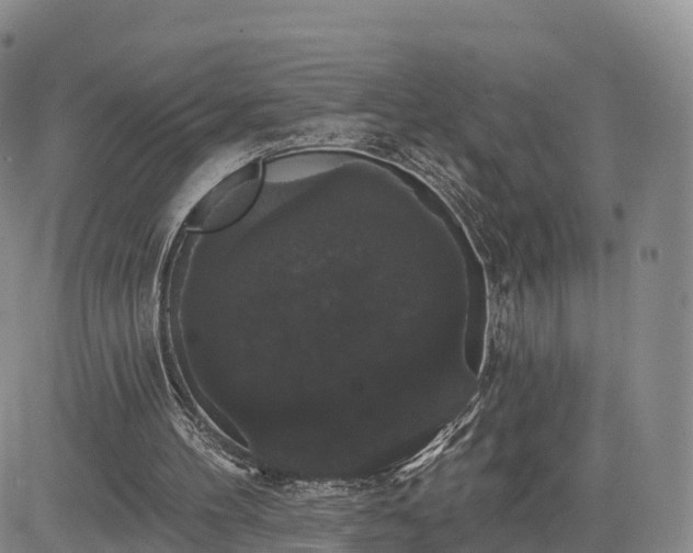 X0000085220100200703161255