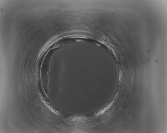 X0000085220101200703161255