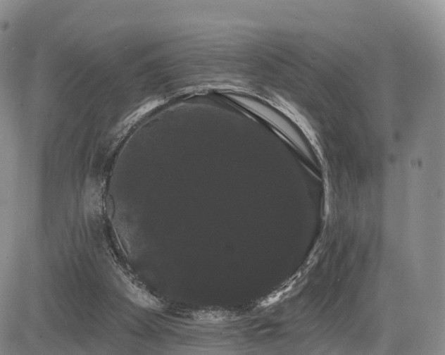 X0000085220105200703161255