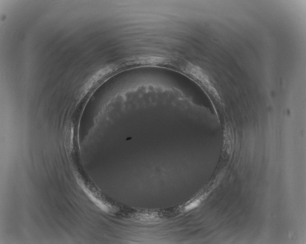 X0000085220110200703161255