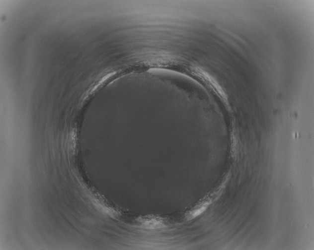 X0000085220113200703161255