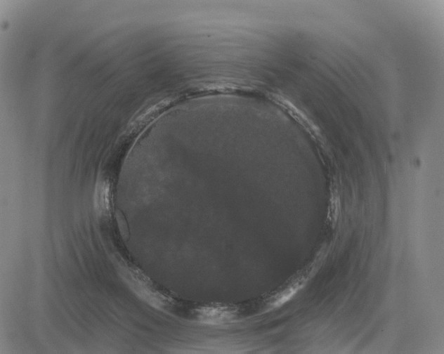 X0000085220117200703161255