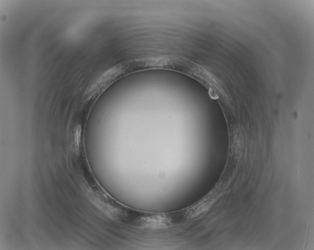 X0000085220118200703161255