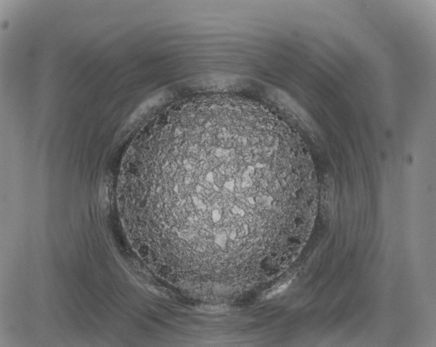 X0000085220119200703161255