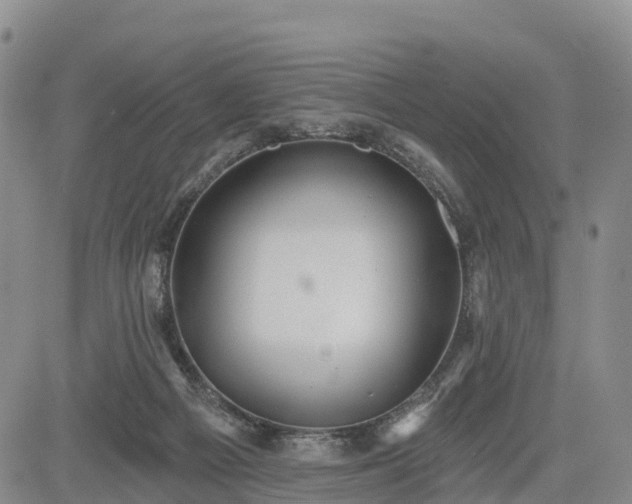 X0000085220121200703161255