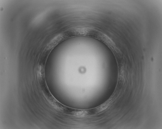 X0000085220122200703161255