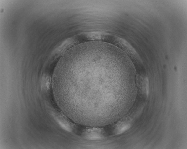 X0000085220125200703161254