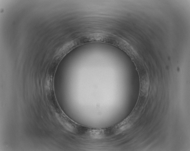 X0000085220126200703161254