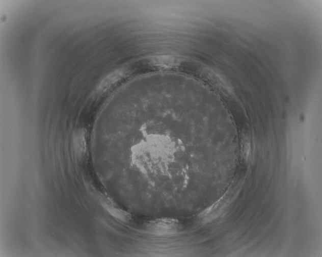 X0000085220128200703161254