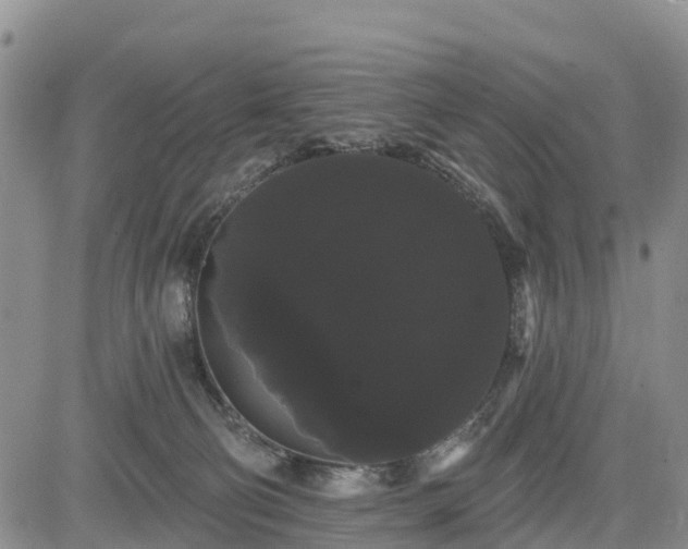 X0000085220130200703161254