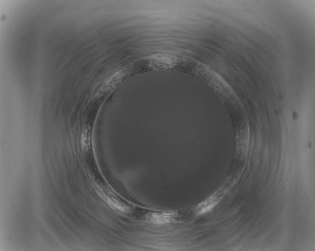 X0000085220134200703161254