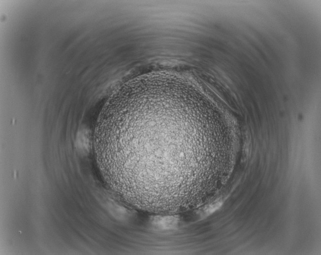 X0000085220135200703161254
