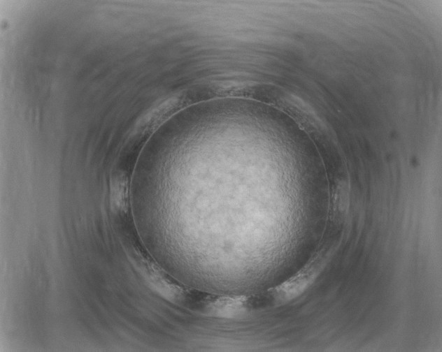 X0000085220138200703161254