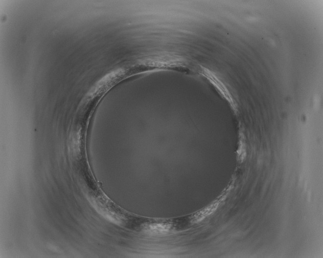 X0000085220163200703161254