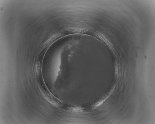 X0000085220165200703161254