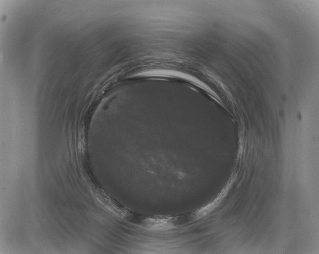X0000085220170200703161254