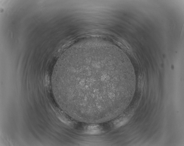X0000085220173200703161254