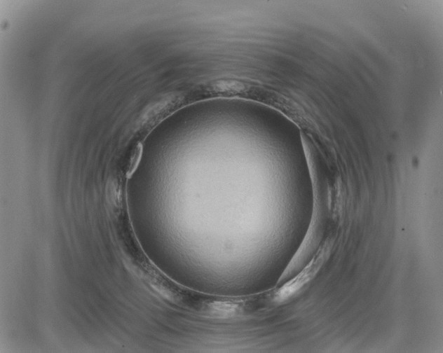 X0000085220176200703161254