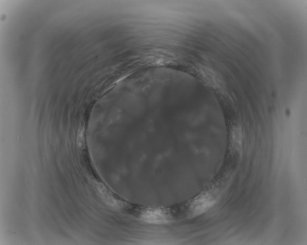 X0000085220177200703161254