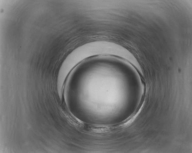 X0000085220190200703161254